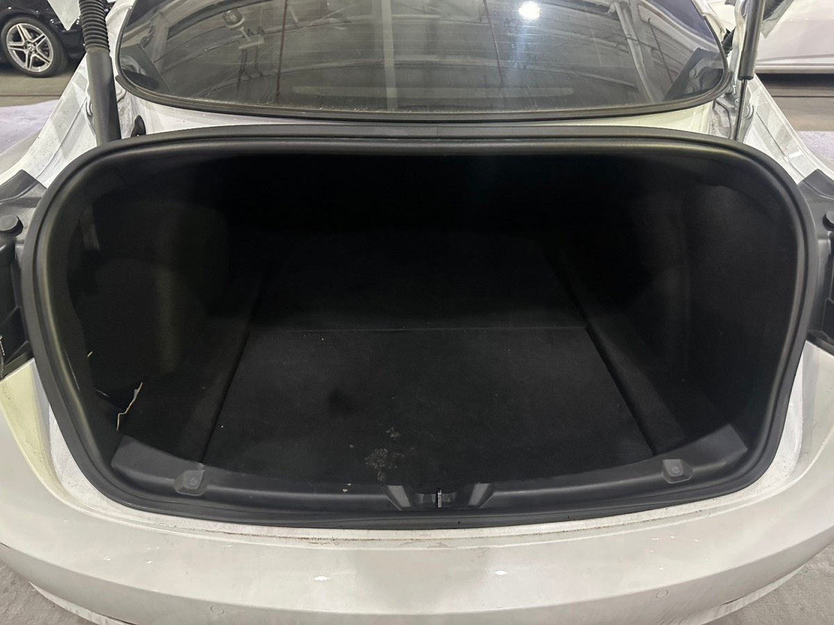 trunk