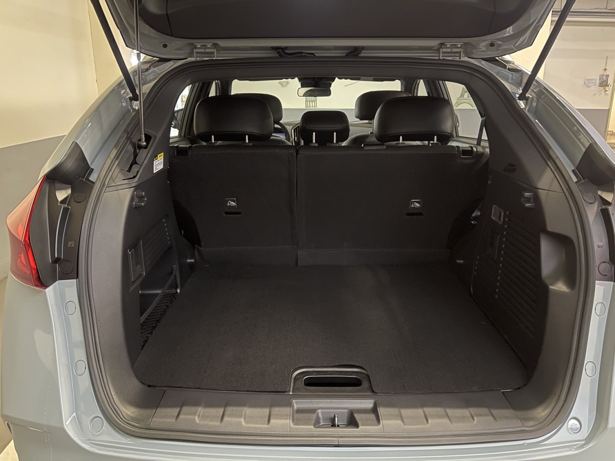 trunk