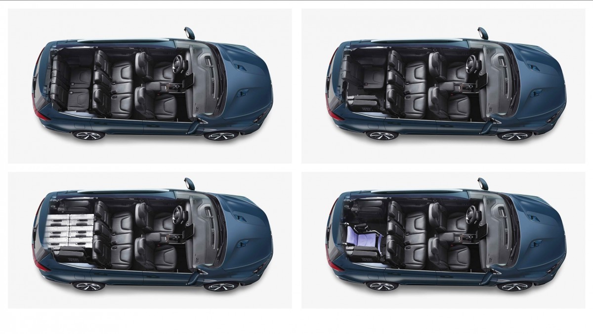 trunk